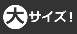 大サイズ！