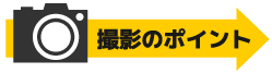 撮影のポイント