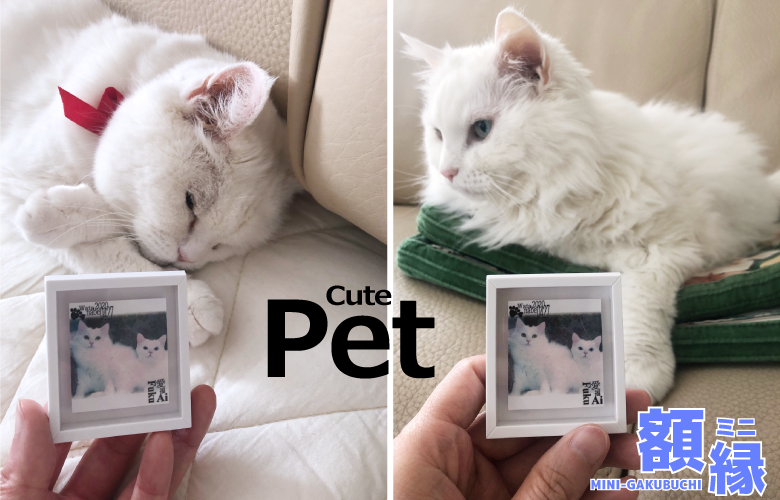 ペットのお写真をプリント!