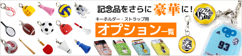 オプション一覧