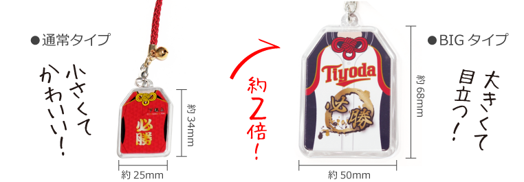 サイズの比較