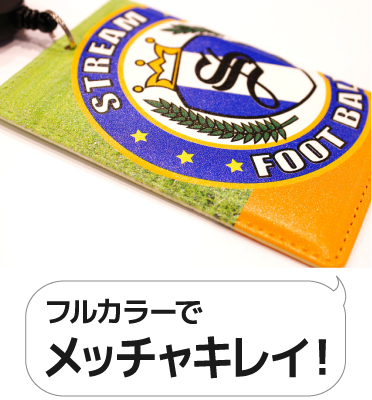 フルカラーでめっちゃキレイ!